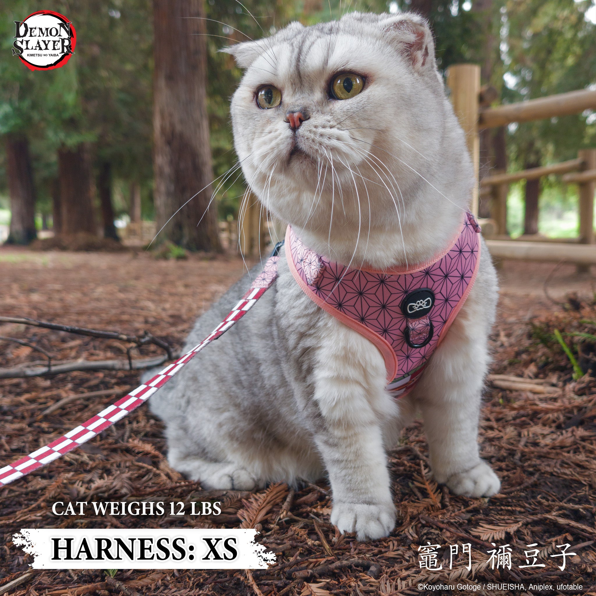 【Pre-Order】Cat Three Piece Bundle - Nezuko