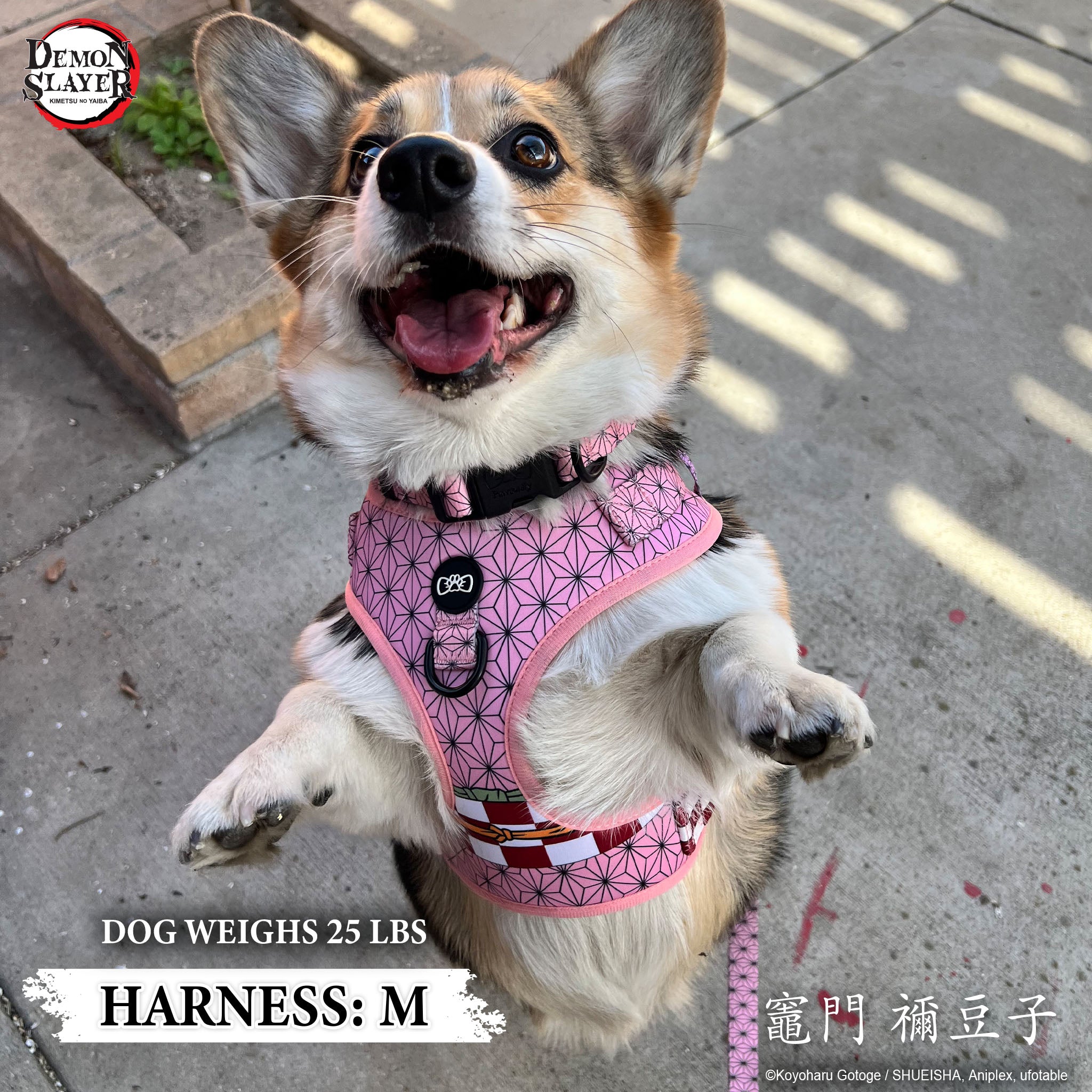 【Pre-Order】Dog Four Piece Bundle - Nezuko