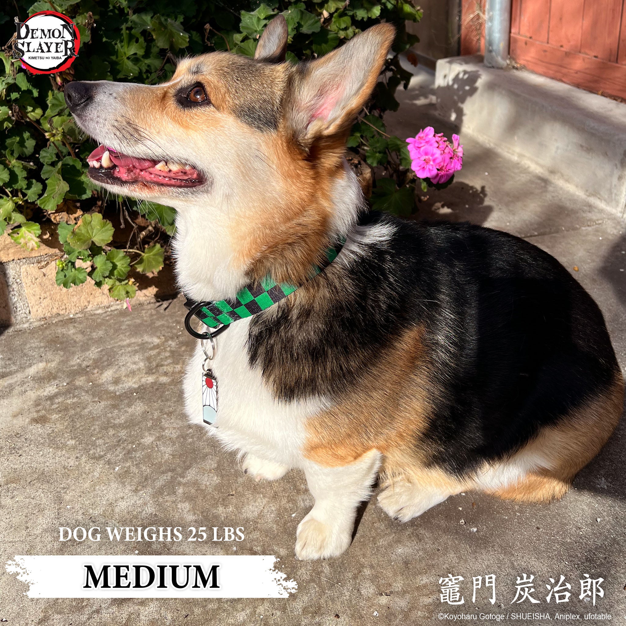 【Pre-Order】Tanjiro's Earring Pet Tag