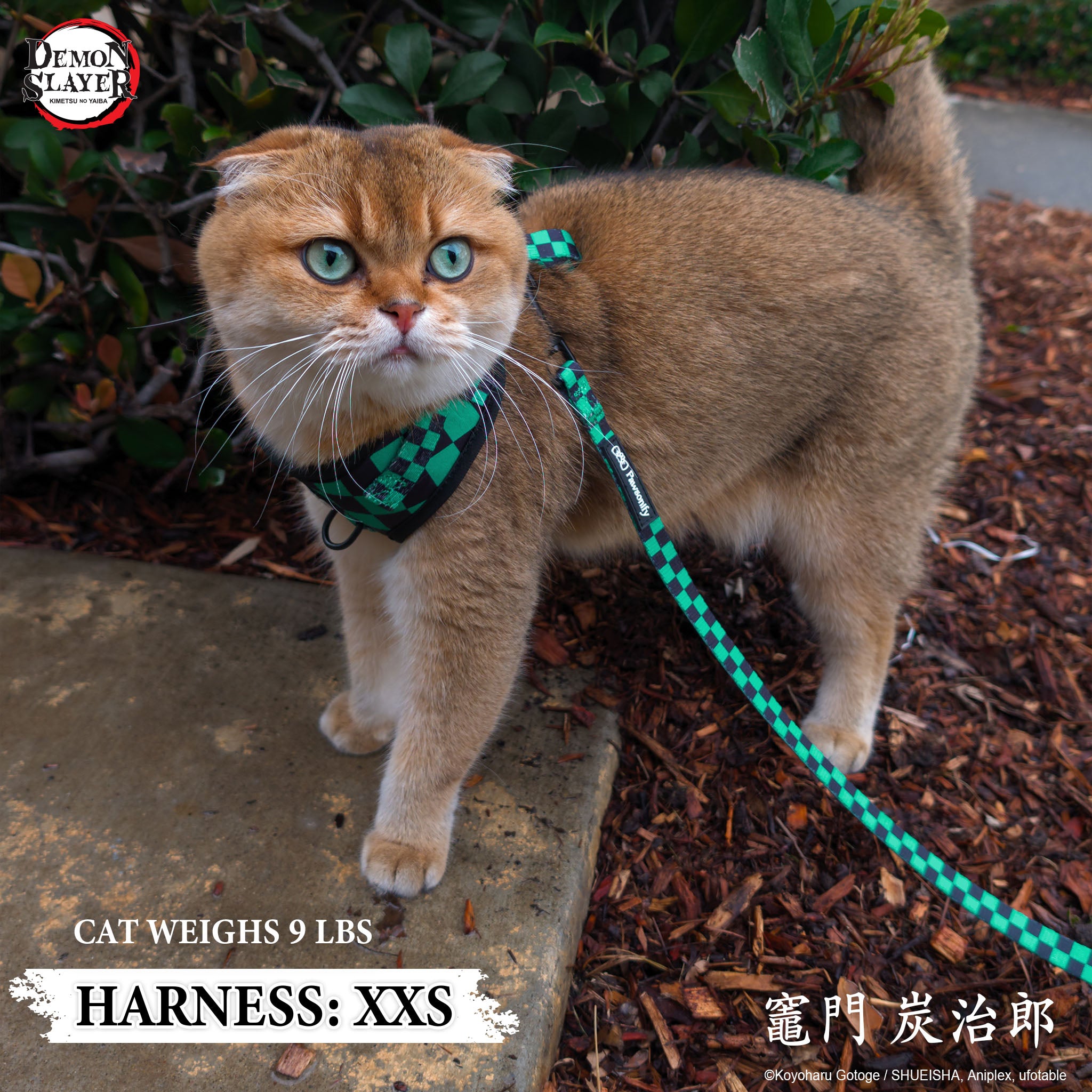 【Pre-Order】Cat Three Piece Bundle - Tanjiro