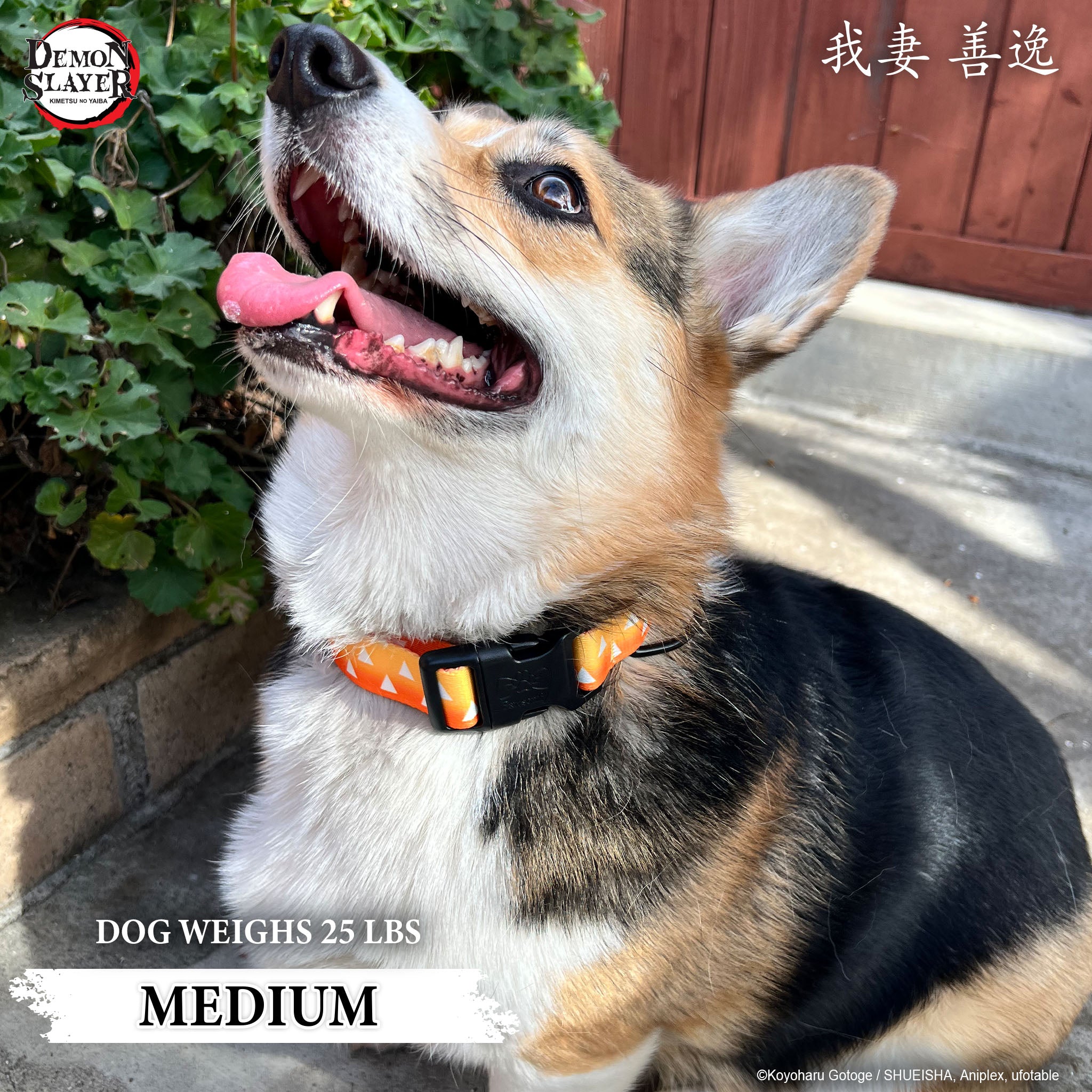 【Pre-Order】Zenitsu Agatsuma Collar