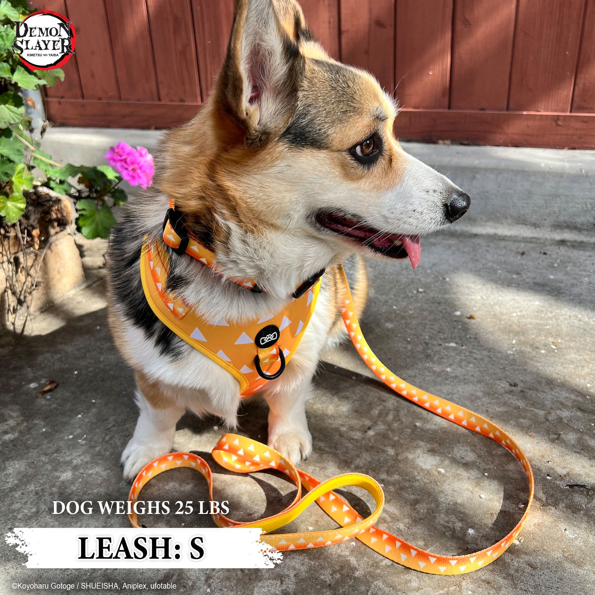 【Pre-Order】Zenitsu Agatsuma Leash