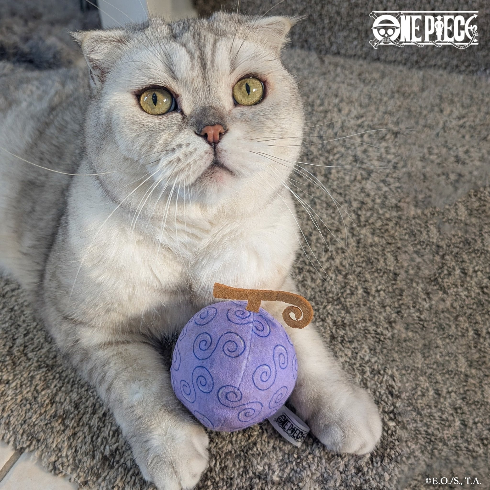 Gum-Gum Fruit Catnip Toy - Pawsonify