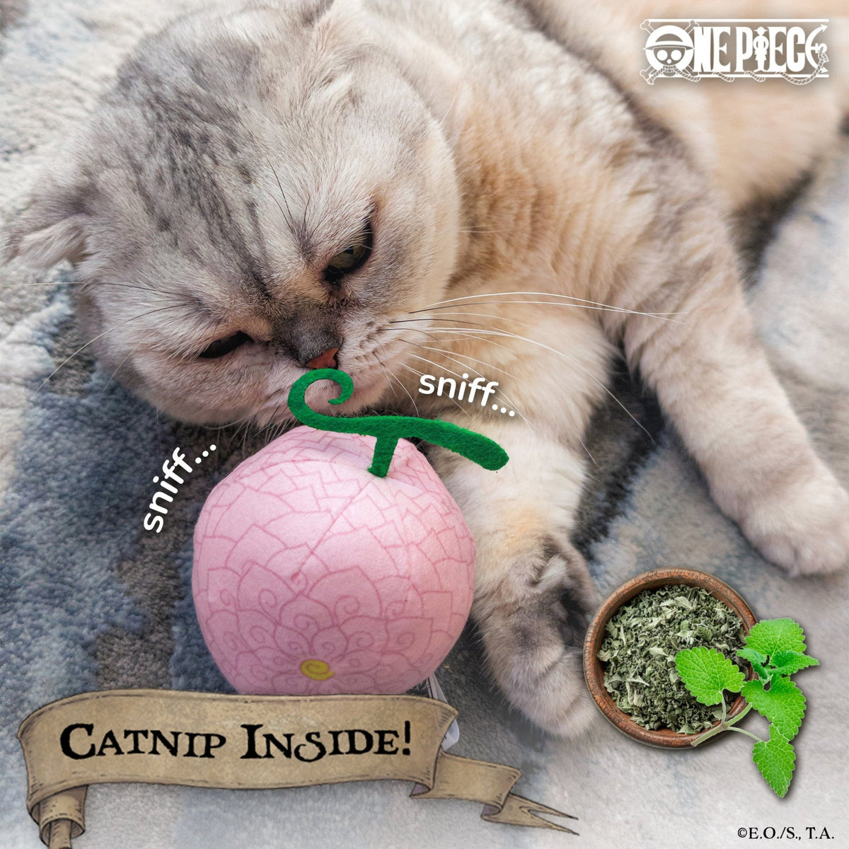 【Pre-Order】 Flower-Flower Fruit Catnip Toy - Pawsonify