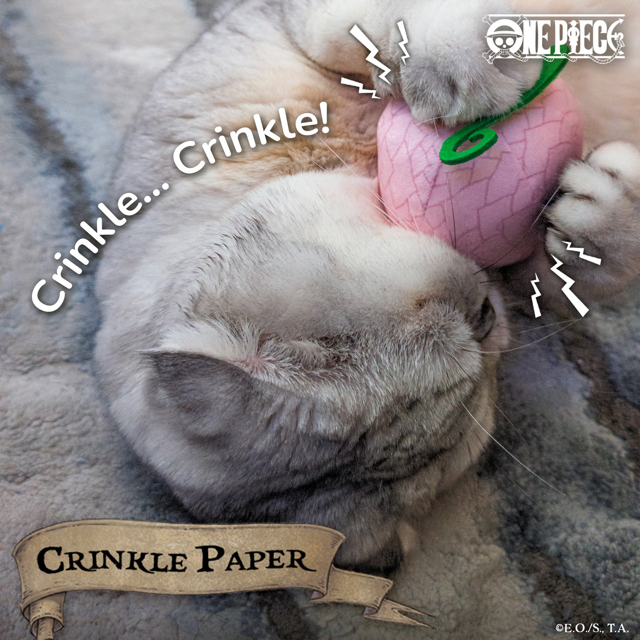 Pre-Order】 Flower-Flower Fruit Catnip Toy | One Piece | Pawsonify