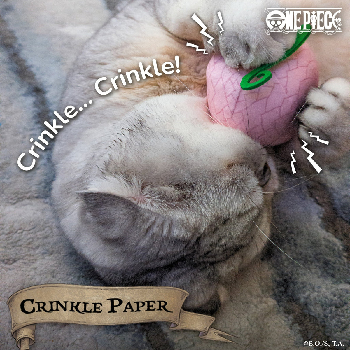 【Pre-Order】 Flower-Flower Fruit Catnip Toy - Pawsonify
