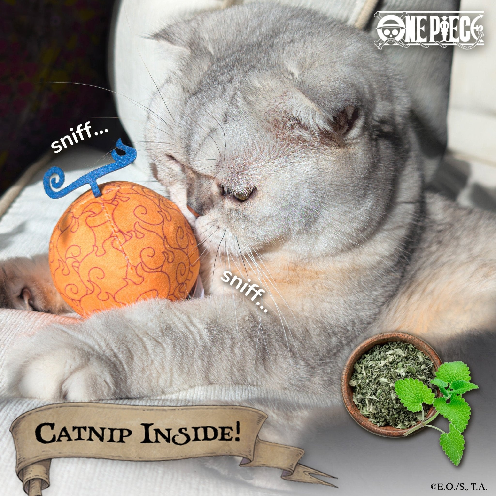 【Pre-Order】 Flame-Flame Fruit Catnip Toy - Pawsonify