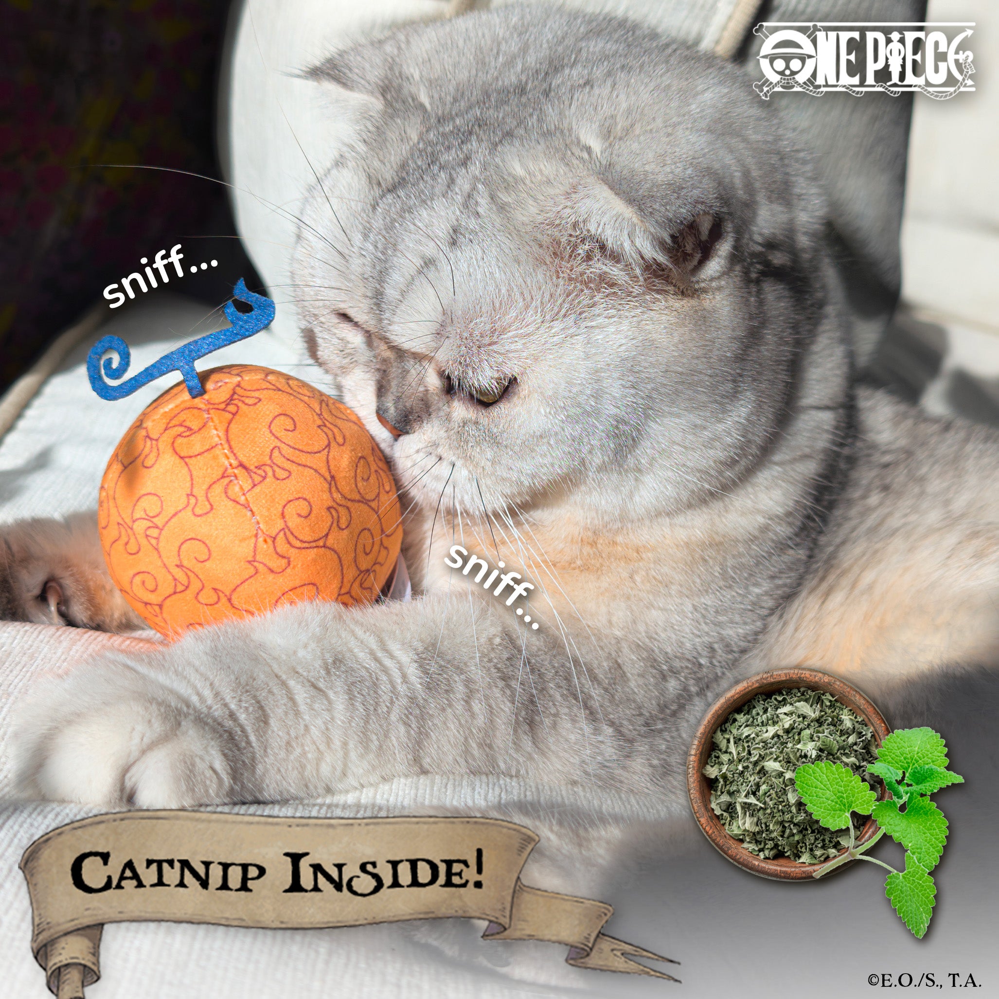 【Coming Soon】 Flame-Flame Fruit Catnip Toy