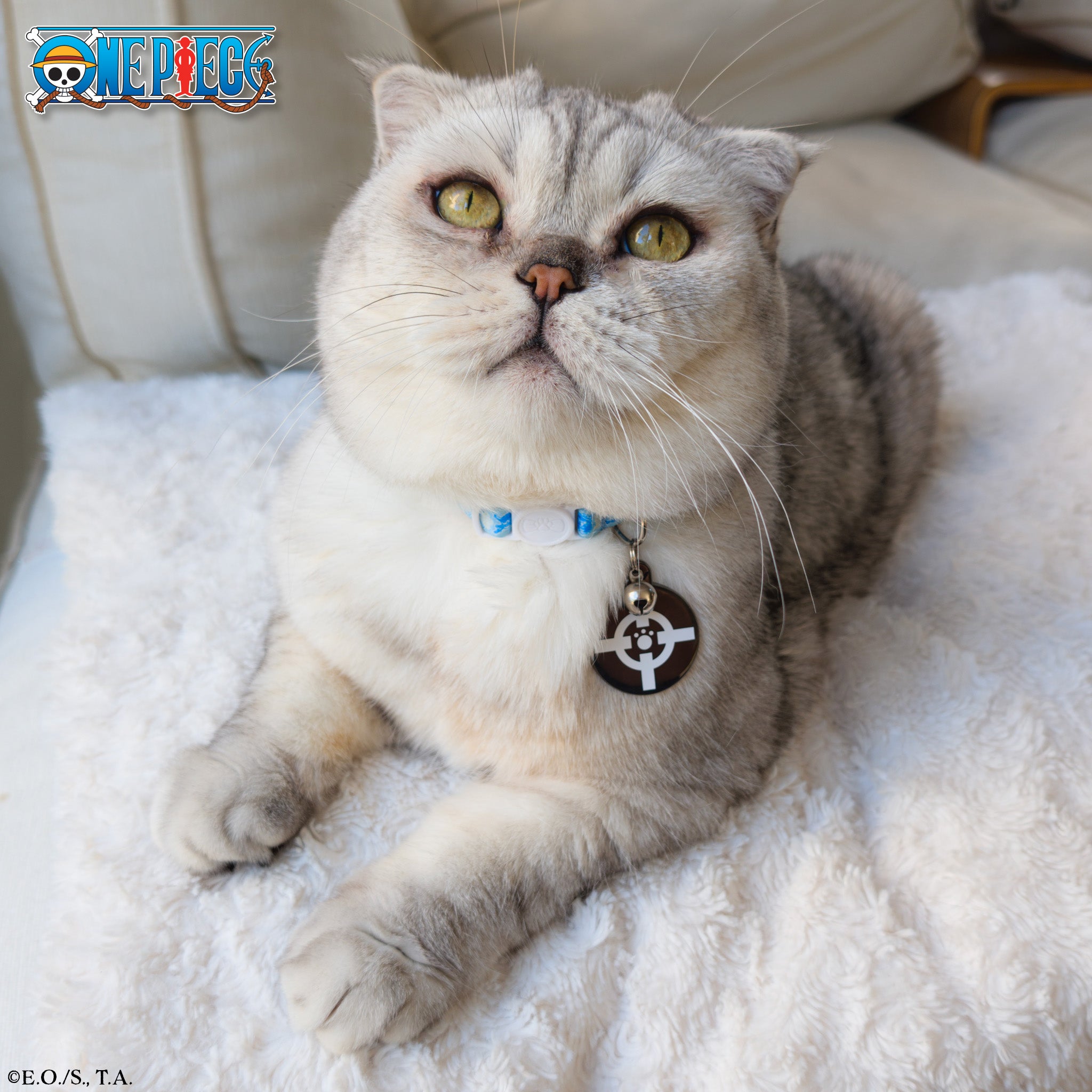 Bartholomew Kuma Pet Tag | One Piece | Pawsonify