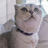 Junji Ito x Pawsonify - Tomie Cat Collar