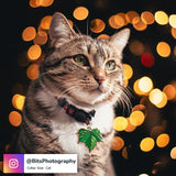 Ivy Leaf Pet ID Tag work by a cat named Ripley. - Pawsonify Original Design - Photo by BitsPhotography on Instagram