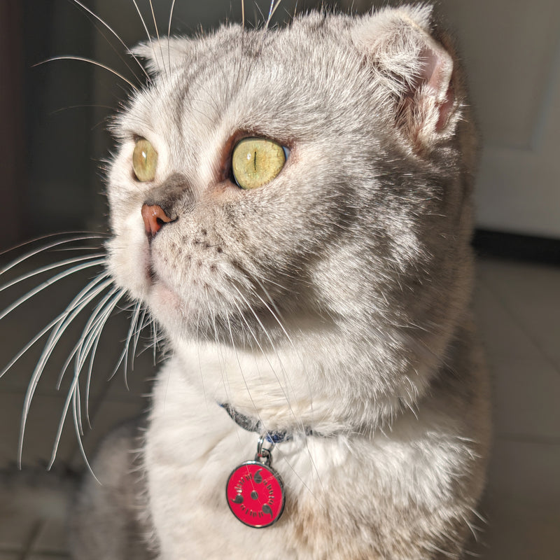 Sharingan Pet Tag - Pawsonify