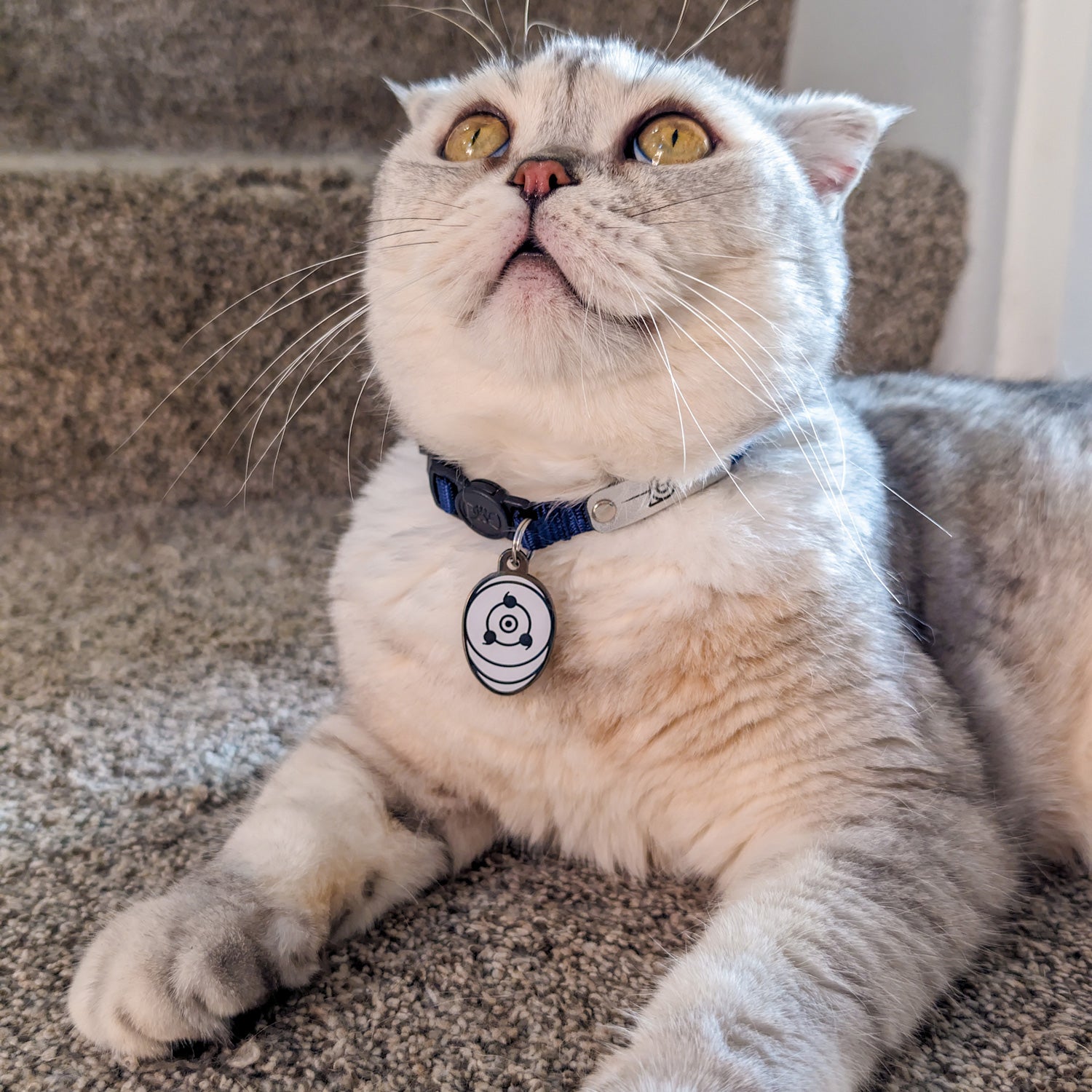 Naruto Shippuden x Pawsonify - Obito's Mask Pet Tag - Free Laser Engraving!