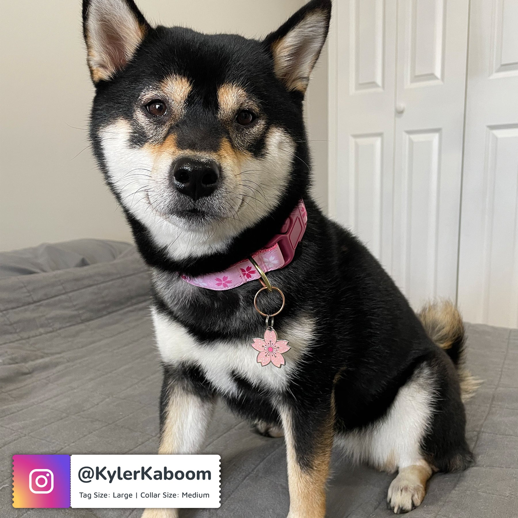 Cute cherry blossom ID tag for pets with glittery enamel 🐾