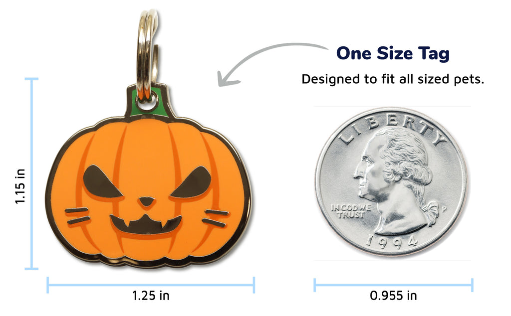 Pumpkin dog tag sales