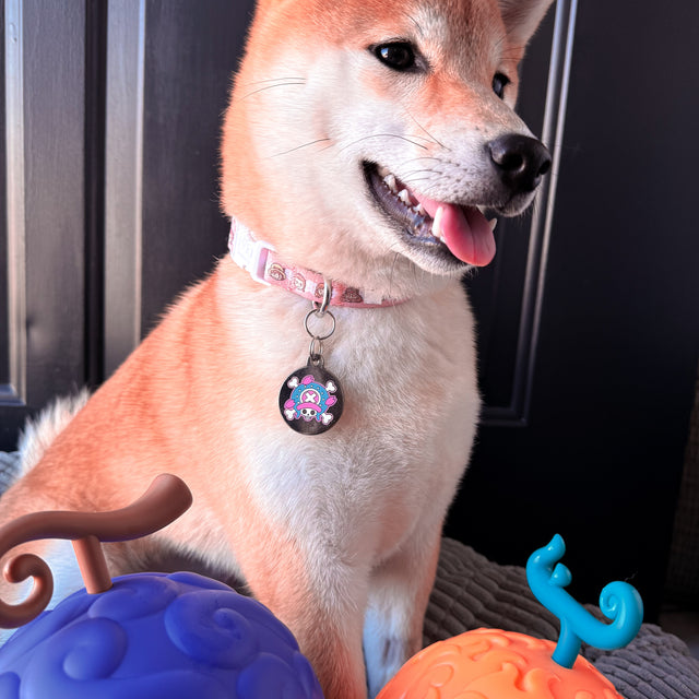 Hana, a Shiba Inuwearing Pawsonify