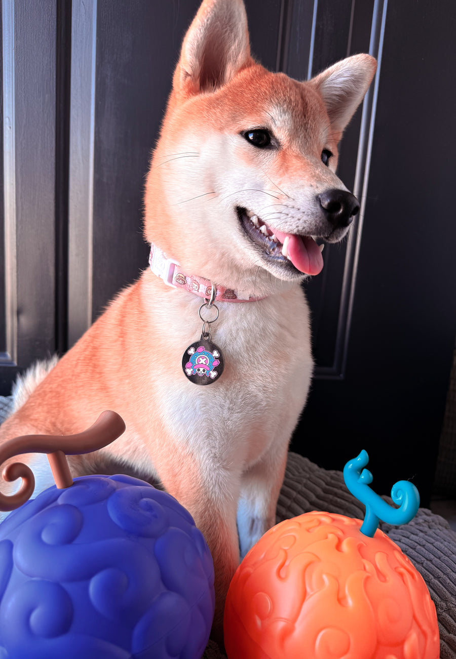 Hana