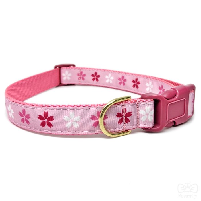 Pawsonify Original Pet Collar - Cherry Blossom - Size Large