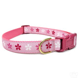 Pawsonify Original Pet Collar - Cherry Blossom - Size Large