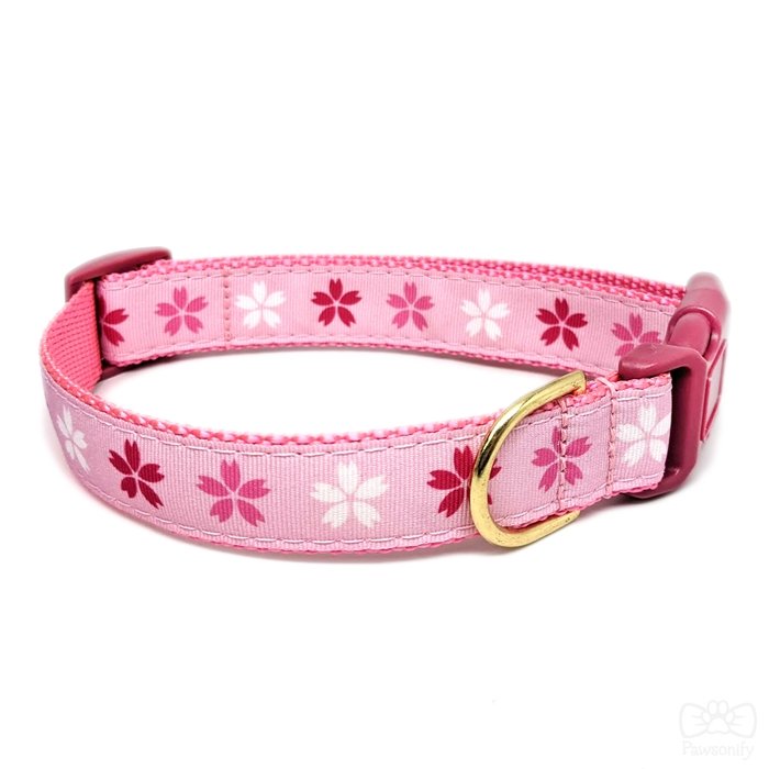 Pawsonify Original Pet Collar - Cherry Blossom - Size Medium