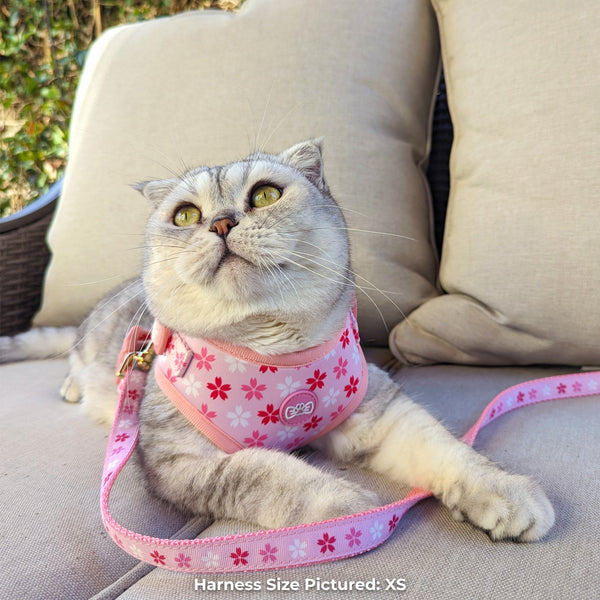 Pawsonify Original - Cherry Blossom Sakura Harness for Cats and Dogs