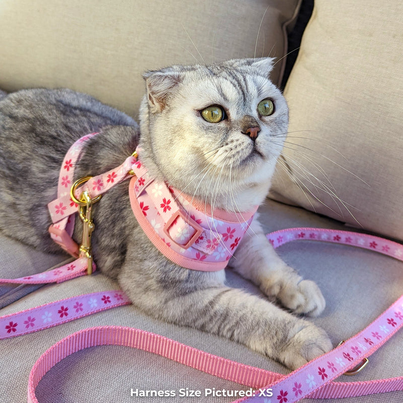 Pawsonify Original - Cherry Blossom Sakura Harness for Cats and Dogs
