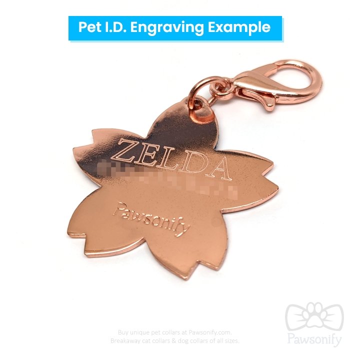 D20 Pet Tag