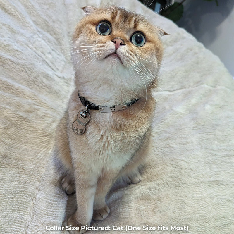 Gaara's Gourd Pet Tag - Pawsonify