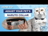 Ninja Collar