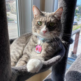  Pawsonify Original Pet Tag - Milk Carton