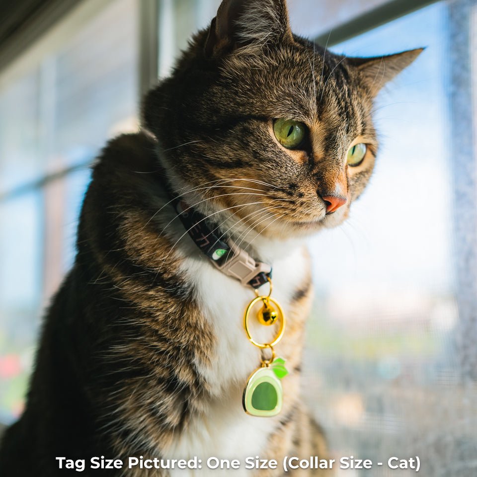 Mochi Pet Tag - Pawsonify