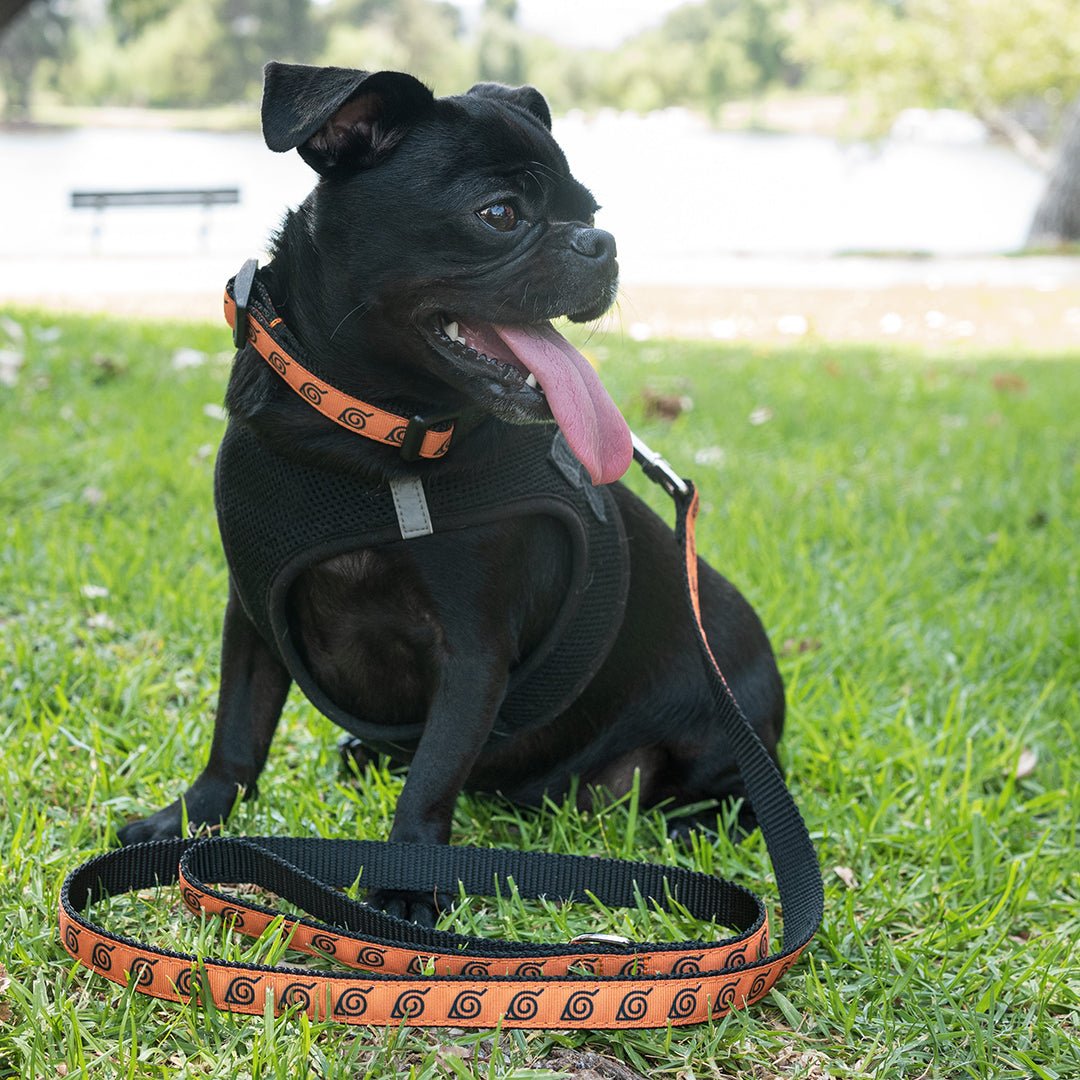 Naruto Leash