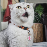 Naruto Fishcake Pet Tag on a Cat