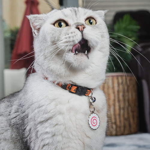 Naruto Fishcake Pet Tag on a Cat