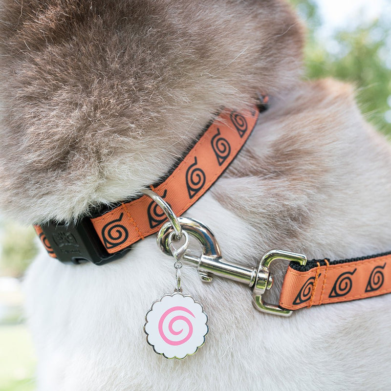 Dog outlet id collar