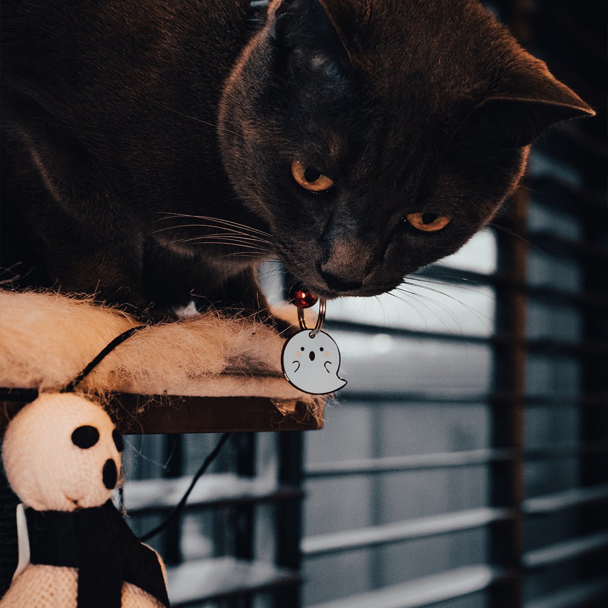 Lightweight Pawsonify Ghost Pet Tag in cat size, shown on a cat collar