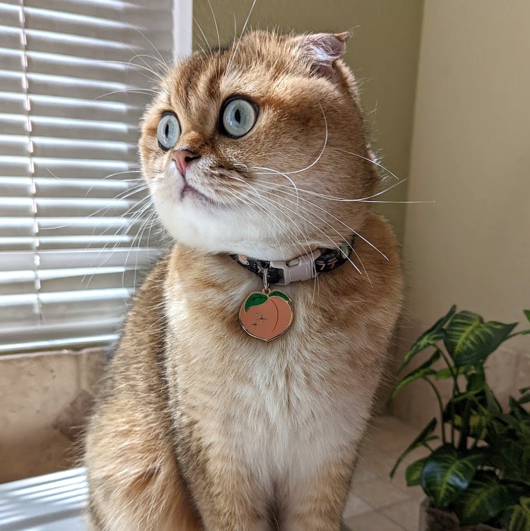 Peach Pet ID Tag