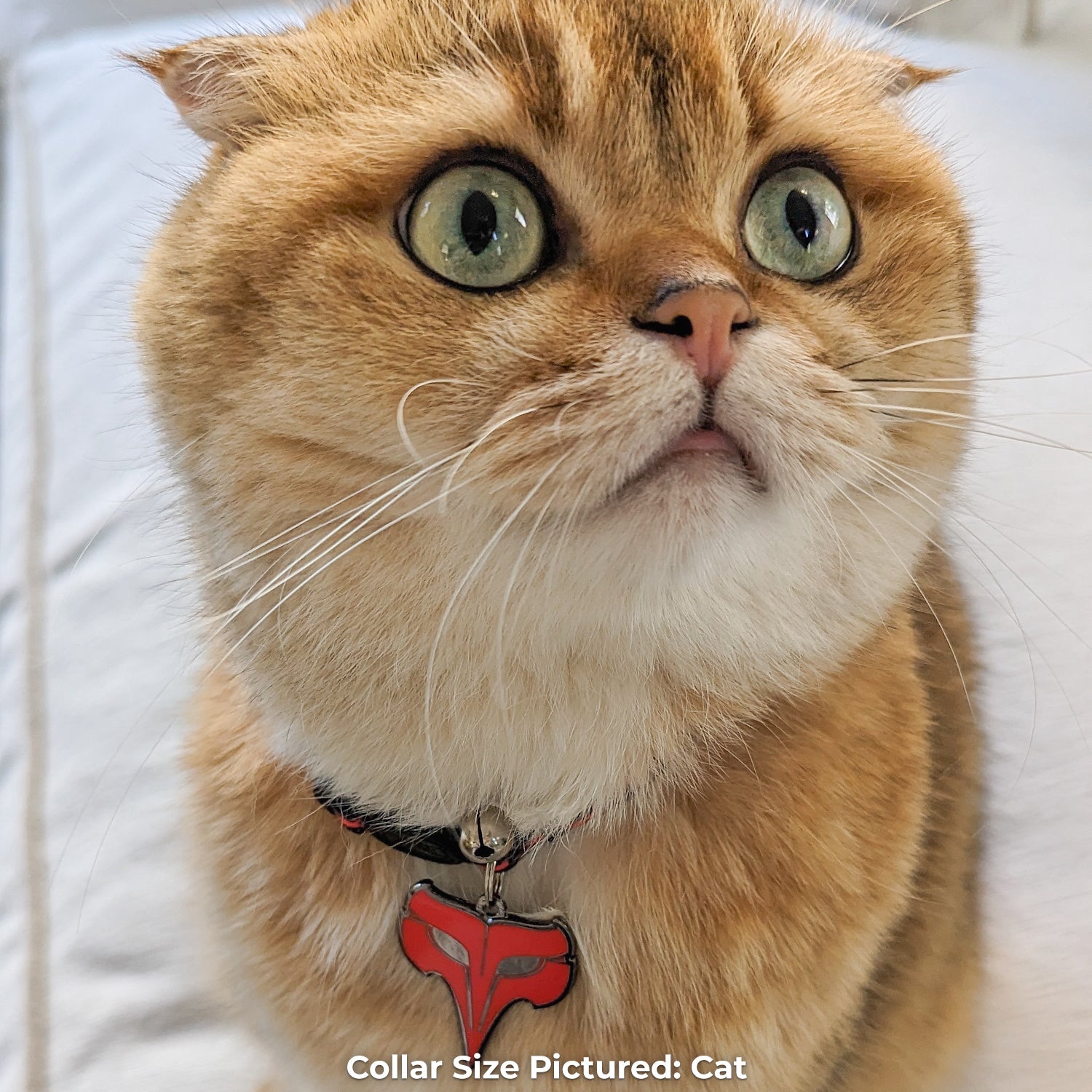 Phantom Thieves - Crow Pet Tag - Pawsonify