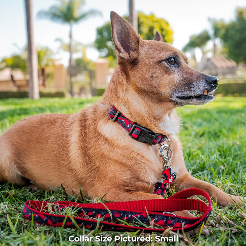 Phantom Thieves Leash - Pawsonify