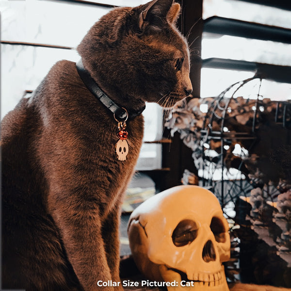 Skull Pet Tag - Pawsonify
